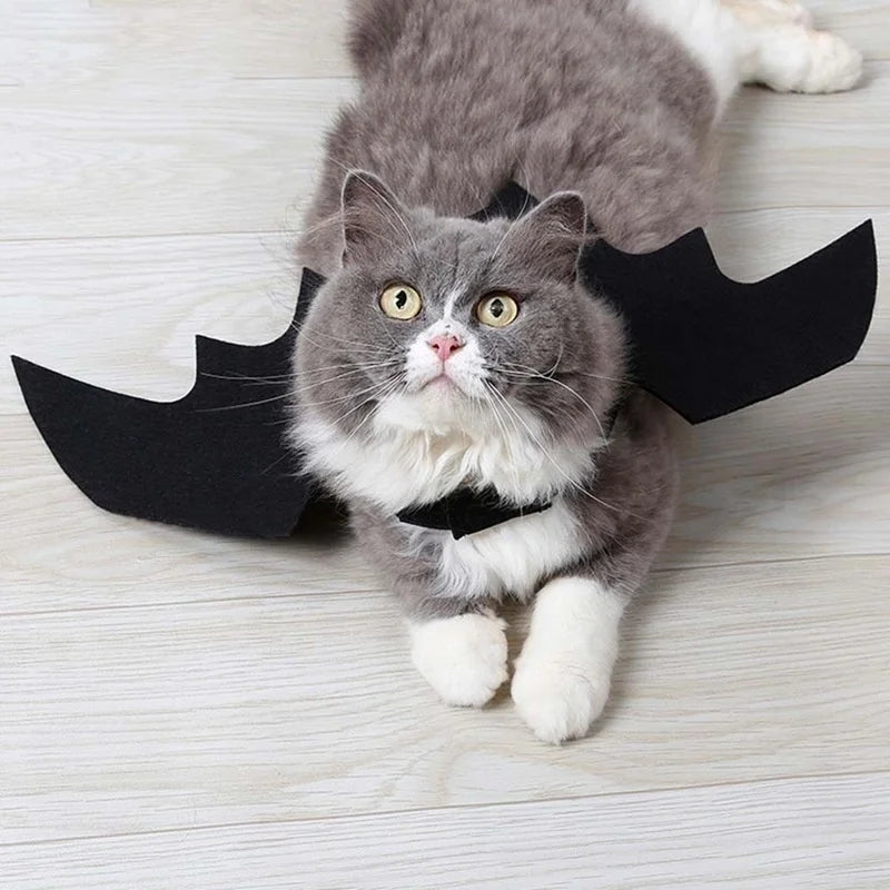 Halloween Bat Wings Pet Harness Costume for Cat and Dog