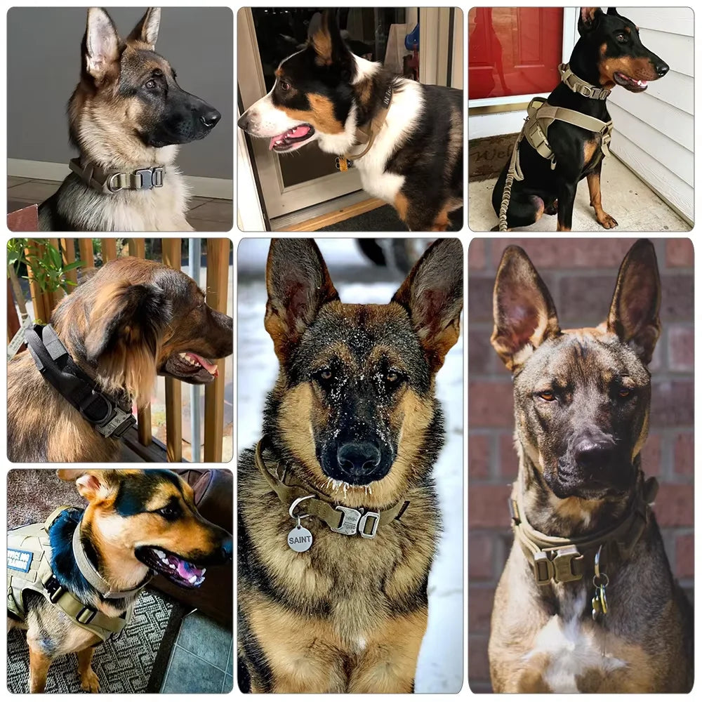 Durable Nylon Dog Harness And Collar Set For Outdoor Walking Training