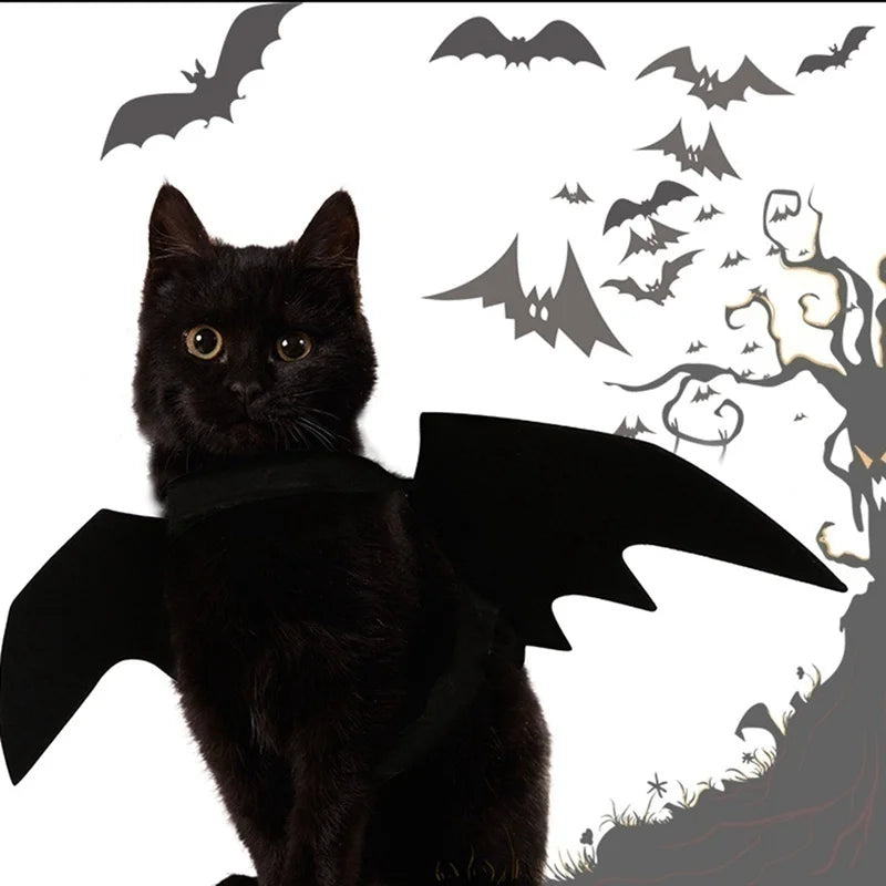 Halloween Bat Wings Pet Harness Costume for Cat and Dog
