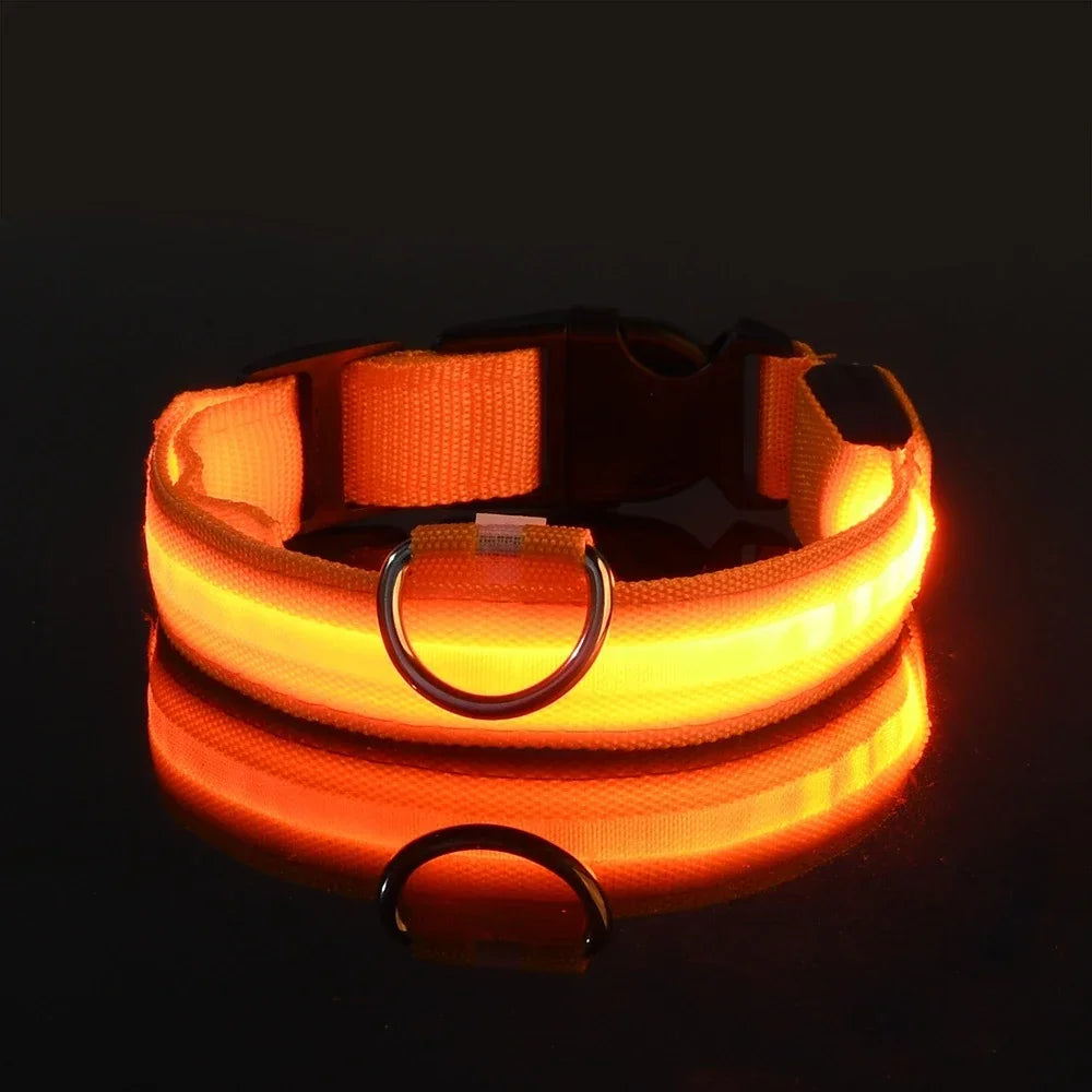 Nylon Dog Collar LED Night Safety Flashing Glow In Dark