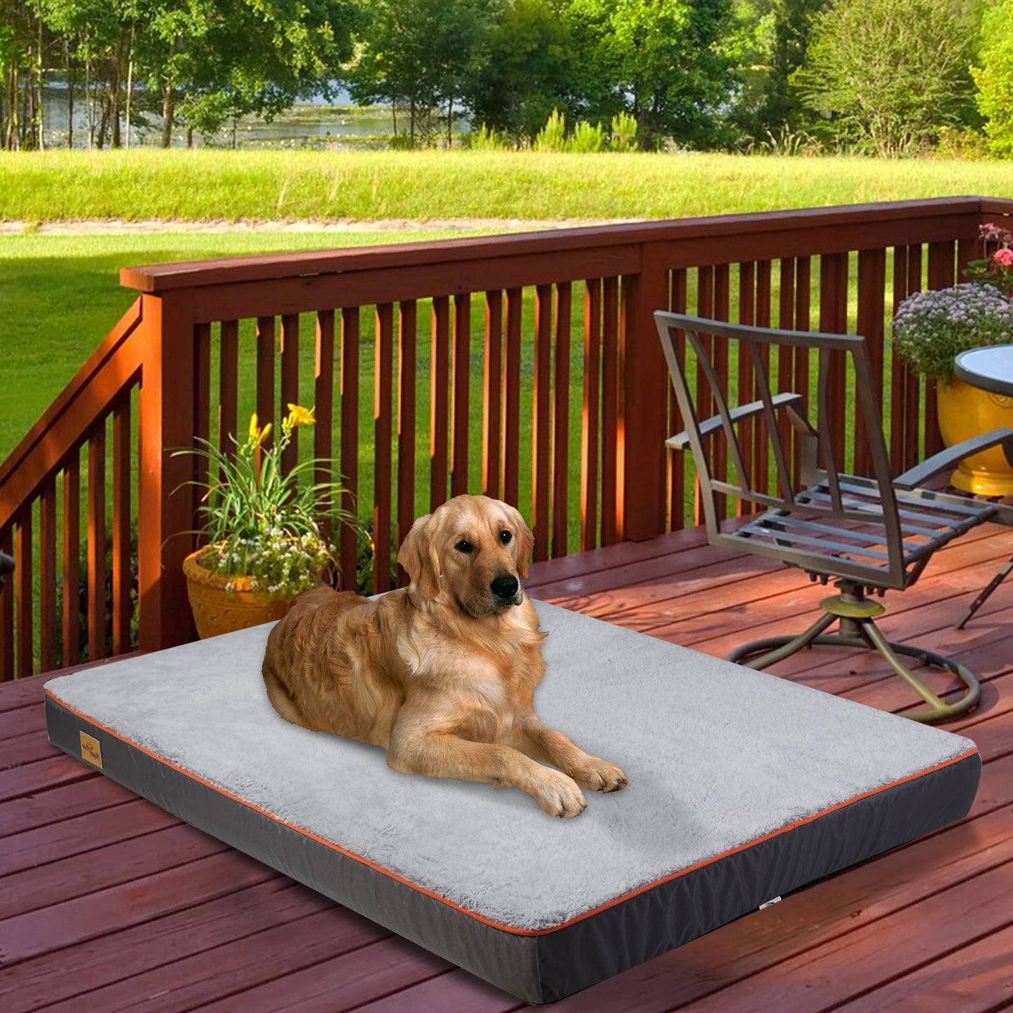 BINGOPAW Orthopedic Dog Bed Padded Foam Cushion Washable Cover