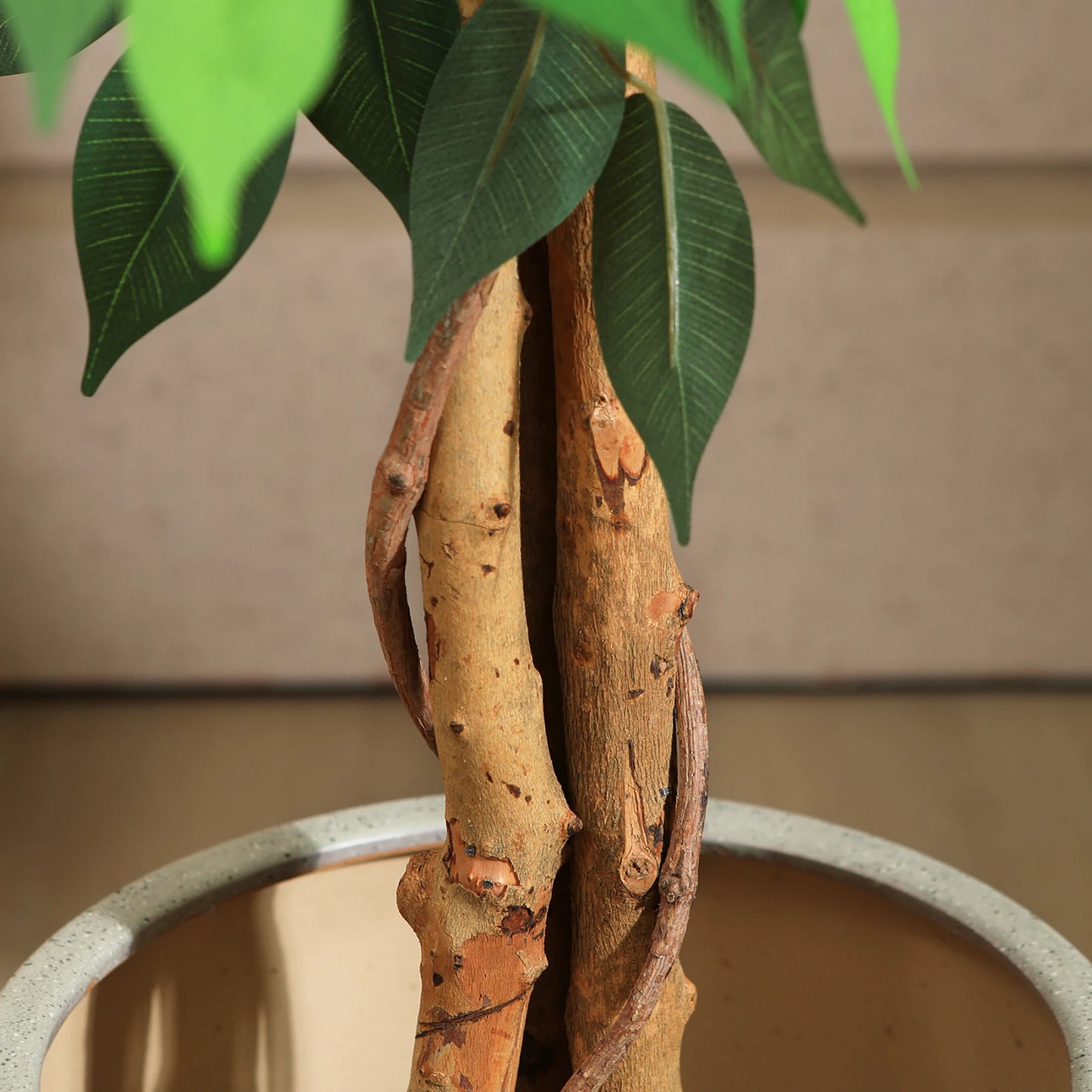 KAZEILA Artificial Ficus Tree With Natural Curved Trunk