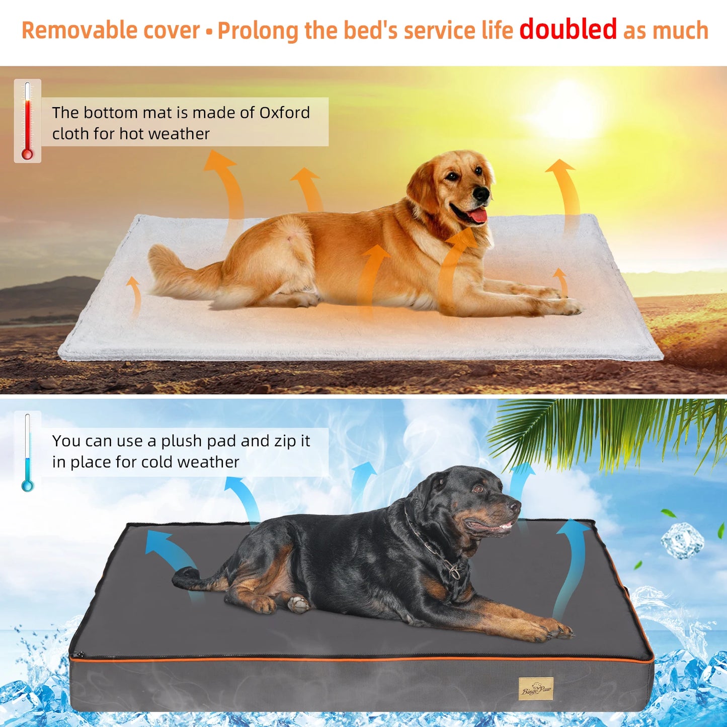BINGOPAW Orthopedic Dog Bed Padded Foam Cushion Washable Cover