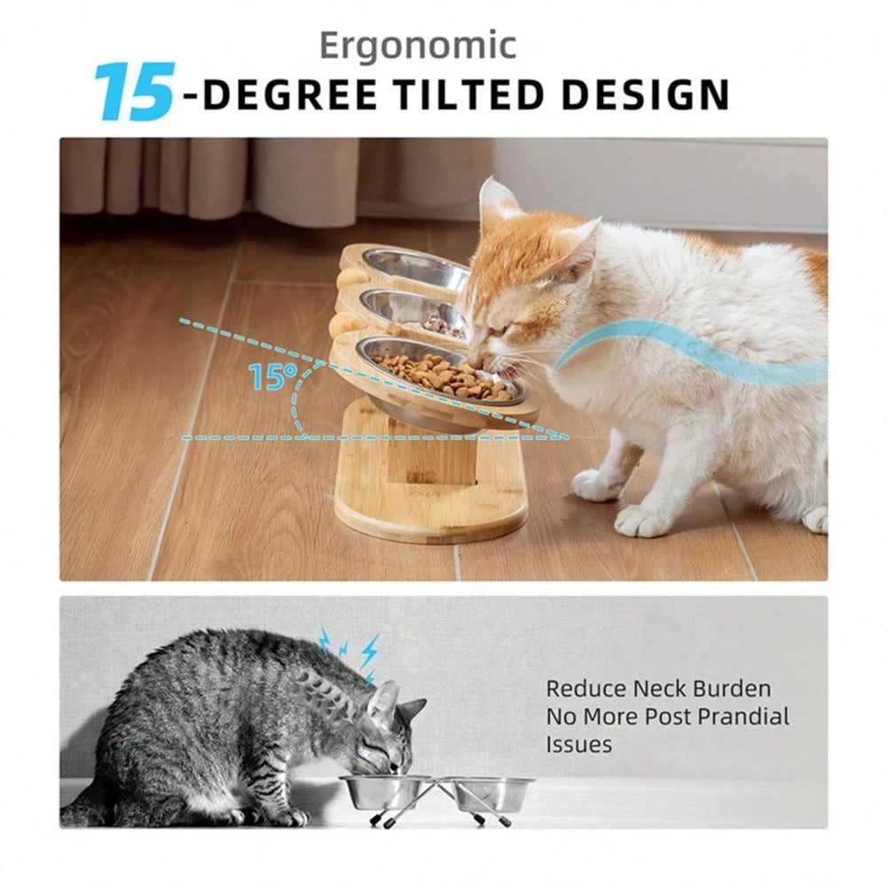 Cat Raised Feeder Three Stainless Steel Bowls Tilted 15 Degree