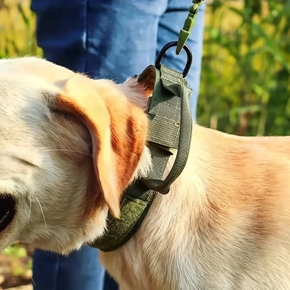 Durable Nylon Dog Harness And Collar Set For Outdoor Walking Training