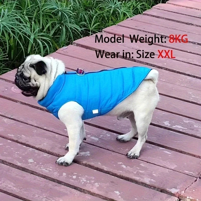 Winter Windproof Dog Coat Jacket Padded Clothing for Small Breeds