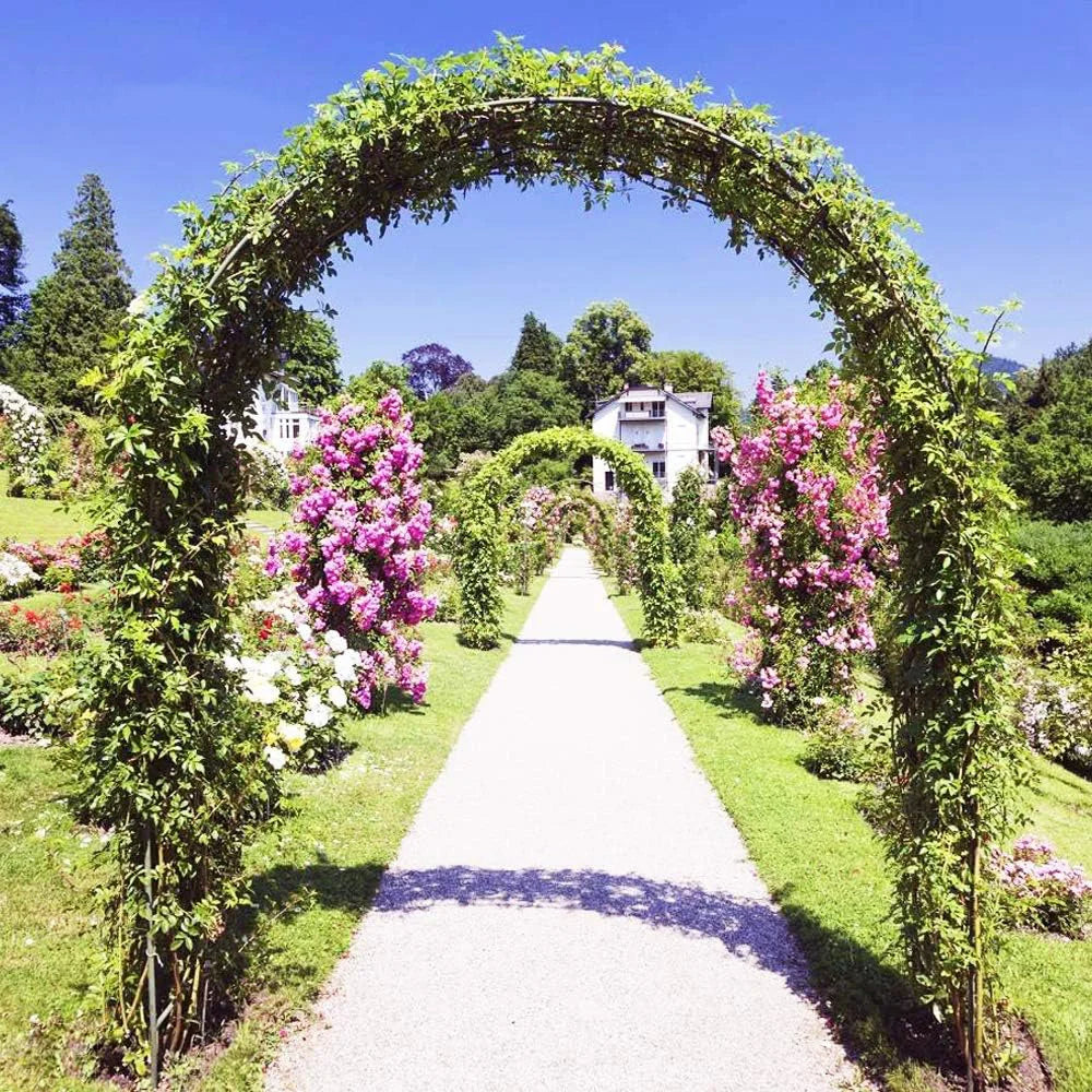 Heavy Duty Metal Garden Arch Trellis for Climbing Plants