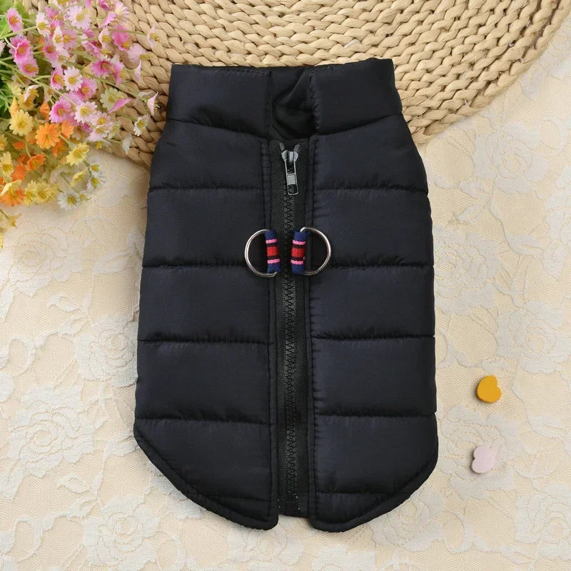 Winter Windproof Dog Coat Jacket Padded Clothing for Small Breeds