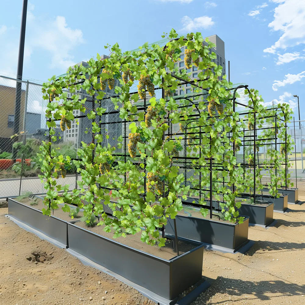 Wisfor U Shaped Metal Tall Garden Plant Trellis for Climbing Vegetables