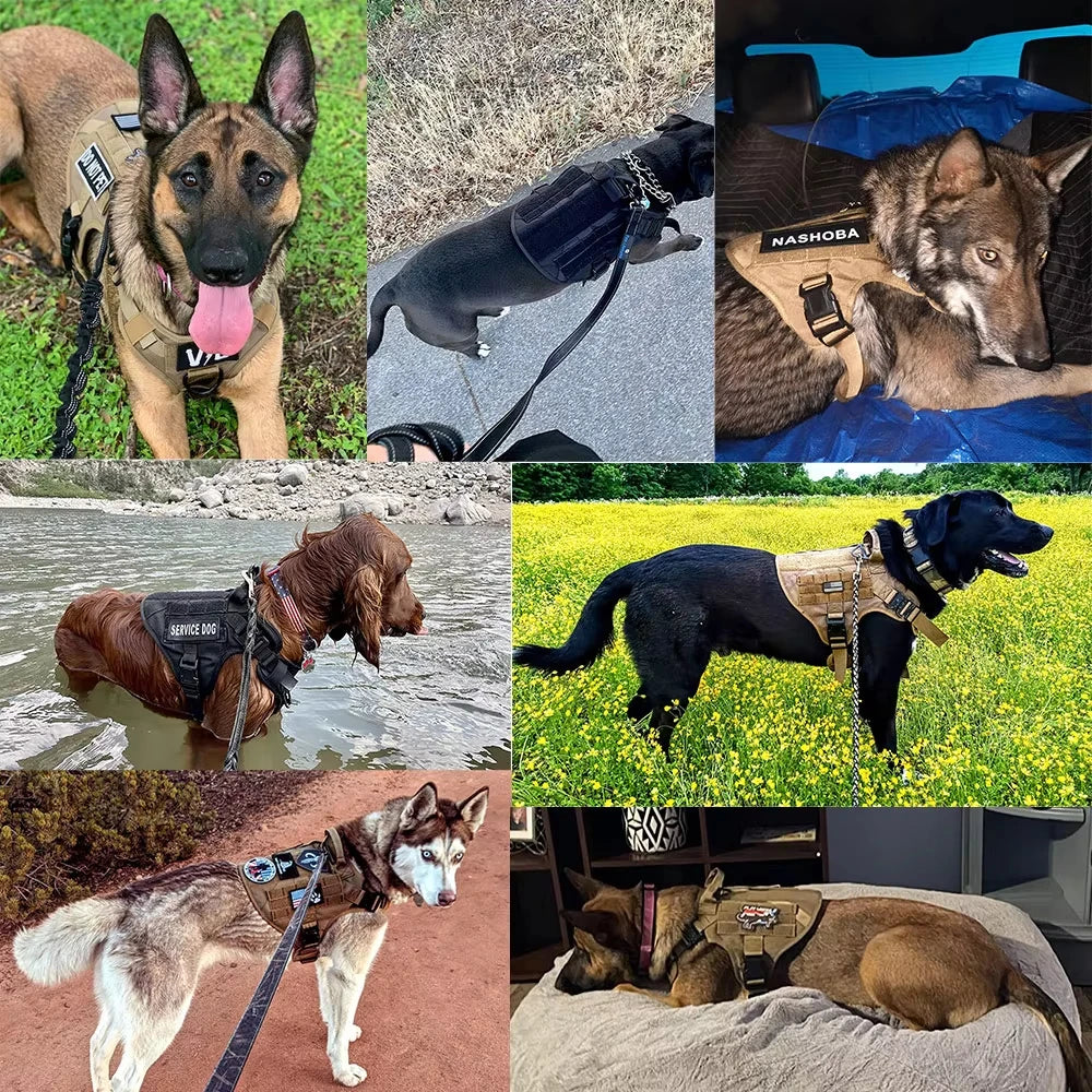Adjustable Tactical Dog Harness And Leash Set For Medium To Large Dogs