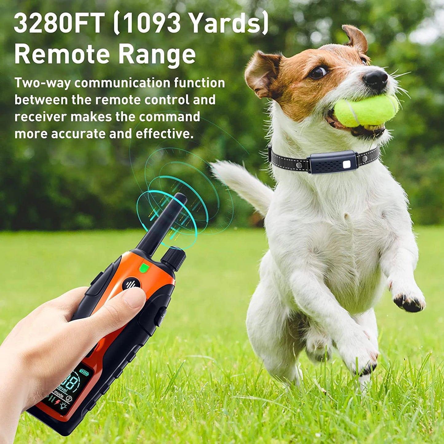 Electric Dog Training Collar With Remote Control And Shock